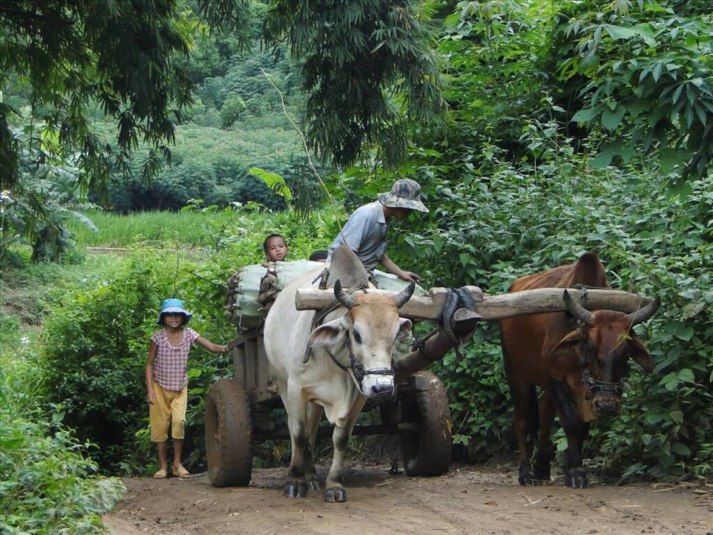 Lửa hồng ở làng cổ vùng biên giới Tây Nguyên