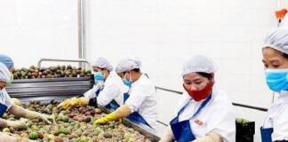 Thêm cơ hội gia tăng kim ngạch xuất khẩu trái cây vào Trung Quốc