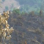 Kon Tum: Đốt rẫy làm cháy 9ha rừng sản xuất