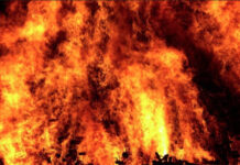 Kon Tum: Đốt rẫy làm cháy gần 9 ha rừng trồng của dân