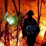 Bản tin 8H: Huy động gần 500 người xuyên đêm chữa cháy rừng ở Nghệ An