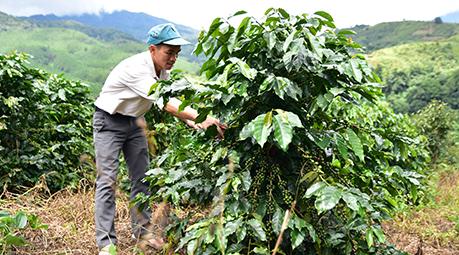 Bí thư Đoàn xã làm kinh tế giỏi