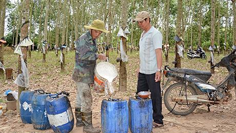 Con đường thoát nghèo của A Thiuh