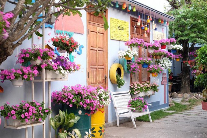 Tiệm cà phê đầy hoa dạ yến thảo nơi phố núi Kon Tum - Tin Kon Tum