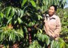 Bà Trần Thị Chung vượt khó vươn lên thoát nghèo bền vững