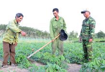 Hạt nhân đoàn kết