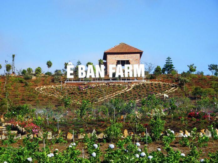 16 e ban farm 0