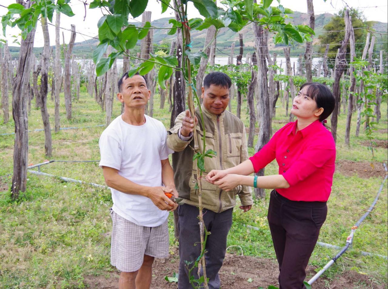 Cán bộ nông dân năng động