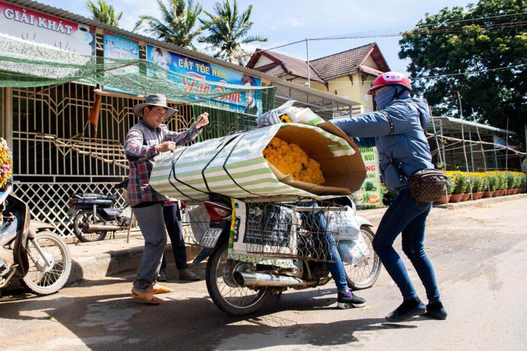 "Làng hoa cúc" vào Tết