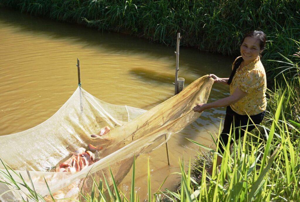 Làm giàu trên quê hương mới