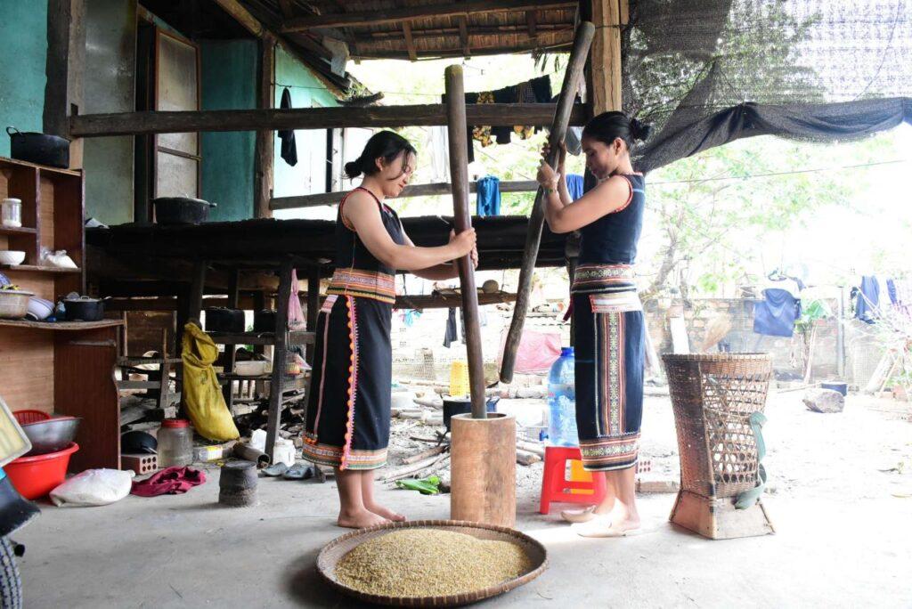 Nhịp chày giã gạo còn vang