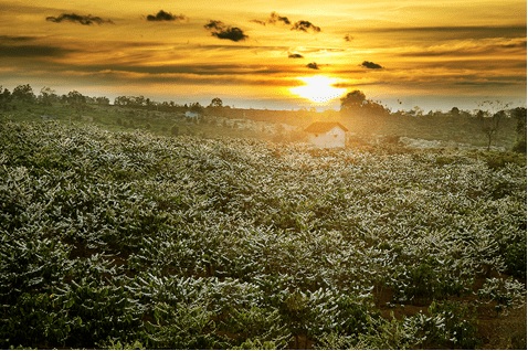 Tháng ba - Kon Tum