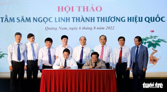 'Quốc bảo' sâm Ngọc Linh - giấc mơ tỉ đô