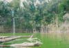 Nét đẹp hoang sở ở hồ thủy điện thượng Kon Tum