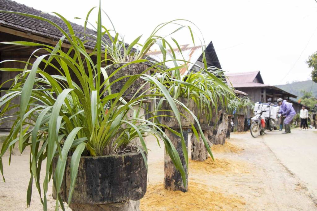 Phát triển du lịch xanh từ văn hóa bản địa tại làng Vi Rơ Ngheo, Kon Tum