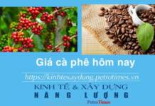 Giá cà phê hôm nay 17 1 Robusta có phiên tăng kỷ lục