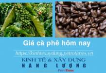 Giá cà phê hôm nay 26 1 Bật tăng mạnh