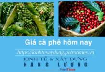 Giá cà phê hôm nay 9 1 Thị trường trong nước nhích nhẹ