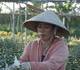 Người lao động tỉ mỉ ngắt lá, lặt chồi ở làng hoa lớn nhất Kon Tum để kiếm tiền trang trải Tết