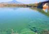 Nước lòng hồ thủy điện Ia Ly “đổi màu” do phát thải từ canh tác nông nghiệp vùng bán ngập