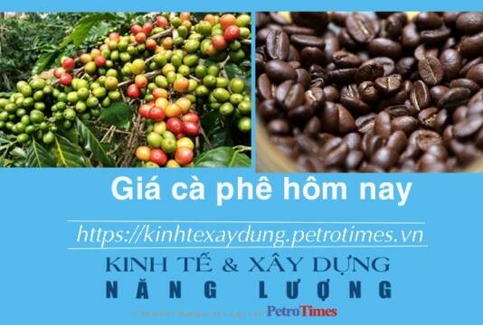 Giá cà phê hôm nay 11 2 Tăng mạnh trở lại