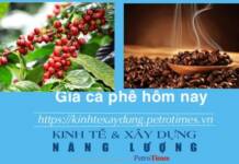 Giá cà phê hôm nay 12 2 Robusta và Arabica giữ đà tăng