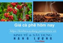 Giá cà phê hôm nay 9 2 Trong nước tăng nhẹ