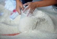 Hơn 12.700 tấn gạo dự trữ quốc gia hỗ trợ cho người dân dịp Tết và giáp hạt