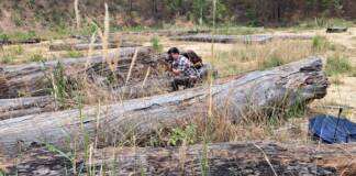 Khởi tố nhóm lâm tặc phá rừng ở Kon Tum