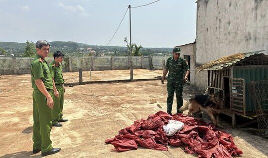 Công an Bình Thuận, Quảng Ninh, Kon Tum phối hợp triệt xóa đường dây ma túy