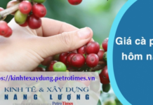 Giá cà phê hôm nay 12 3 Thị trường trong nước tăng