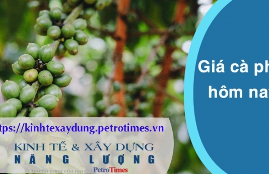 Giá cà phê hôm nay 13 3 Trong nước giảm nhẹ