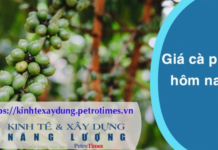 Giá cà phê hôm nay 15 3 Robusta đảo chiều tăng