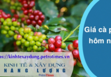 Giá cà phê hôm nay 19 3 Robusta và Arabica xu hướng trái chiều nhau