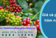 Giá cà phê hôm nay 24 3 Quay đầu giảm nhẹ