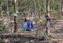 Kon Tum: Phát hiện thi thể trong đám cháy ở vườn cao su
