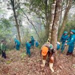 2 cán bộ kiểm lâm tử vong do cháy rừng, Thủ tướng Chính phủ ra công điện chỉ đạo