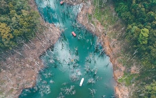 Đề nghị xử lý loạt cán bộ vụ Thủy điện Thượng Kon Tum tích nước làm chết rừng