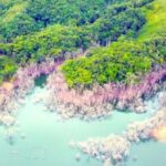 Kon Tum: Đề nghị xử lý 15 cán bộ vụ hơn 25ha rừng bị chết úng 