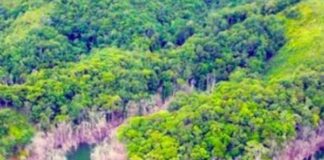 Kon Tum: Đề nghị xử lý 15 cán bộ vụ hơn 25ha rừng bị chết úng 