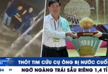 Xem nhanh 12h: Thót tim cứu cụ ông bị nước cuốn | Ngỡ ngàng trái sầu riêng 1,4 tỉ