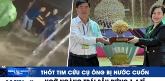 Xem nhanh 12h: Thót tim cứu cụ ông bị nước cuốn | Ngỡ ngàng trái sầu riêng 1,4 tỉ